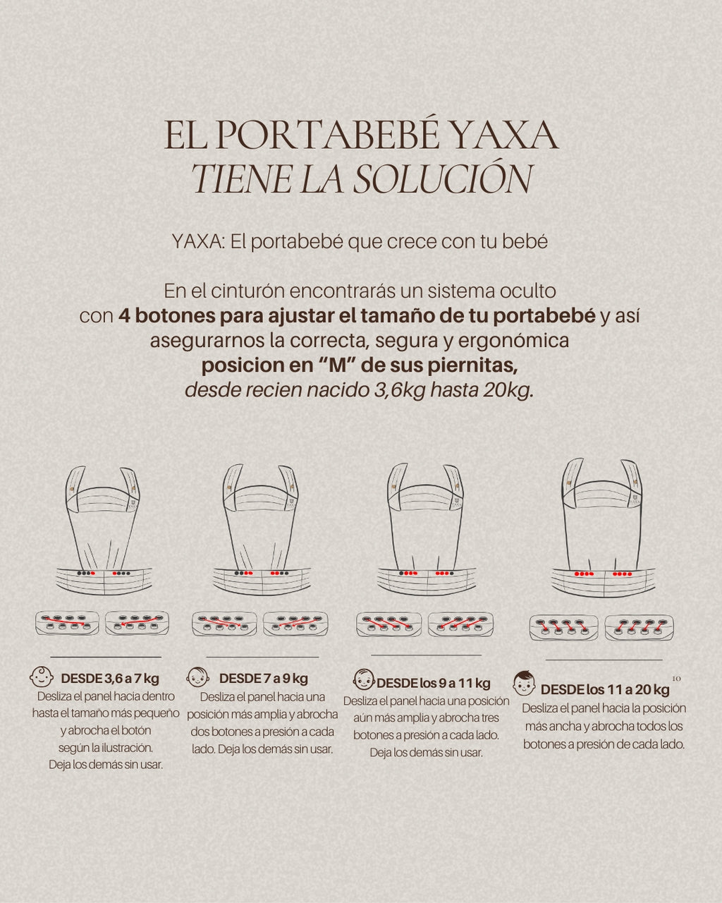 Yaxa Spanish Bloom