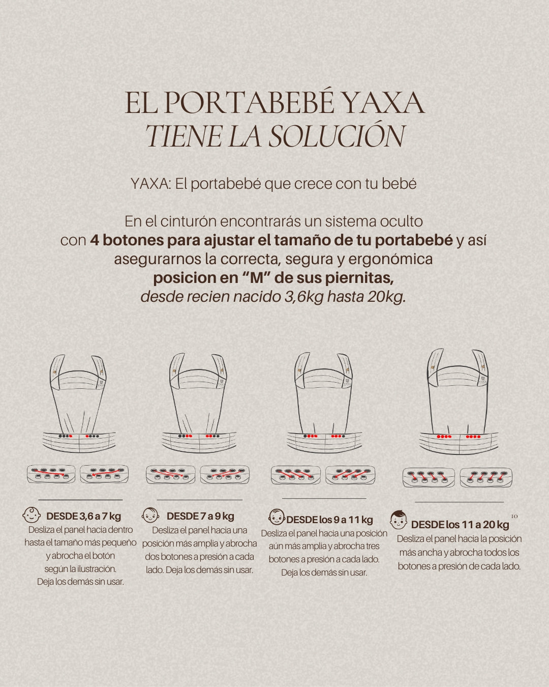 Yaxa Spanish Bloom